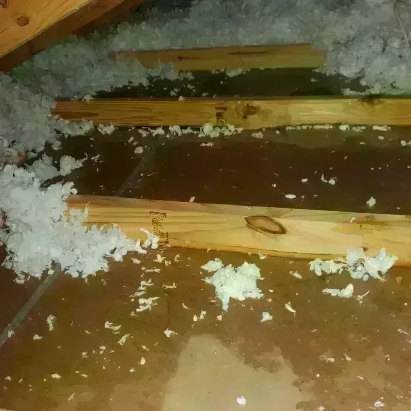 Attic Water Damage in Walls, MS